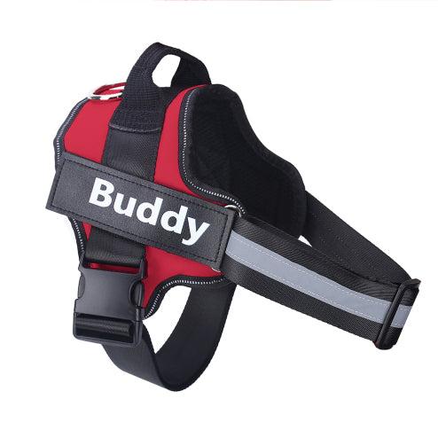 Personalised No Pull Dog Harness