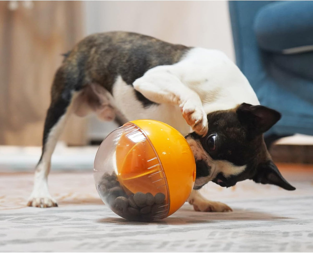 Dog Treat Ball