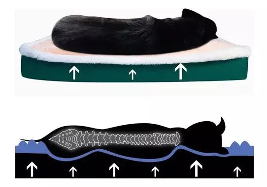 Washable Sleeping Pad for Dogs