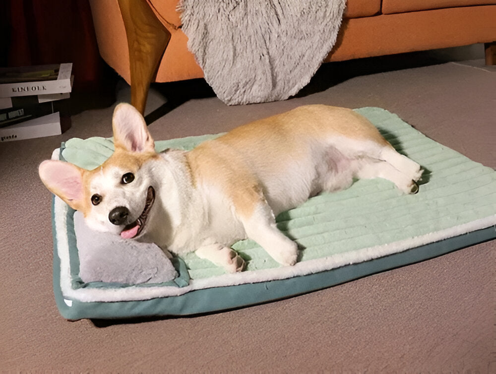 Washable Sleeping Pad for Dogs