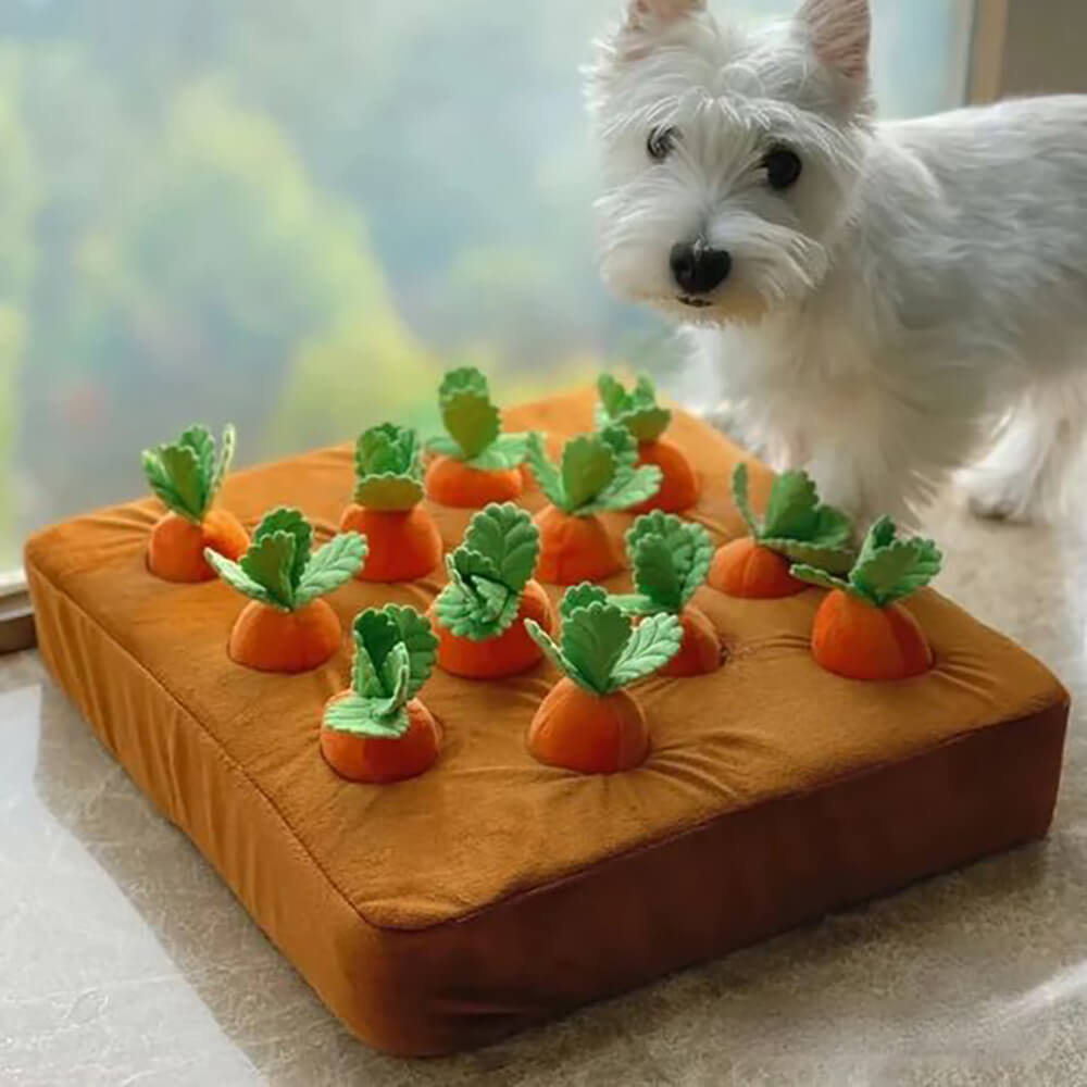 Carrot Patch Dog Snuffle Toy