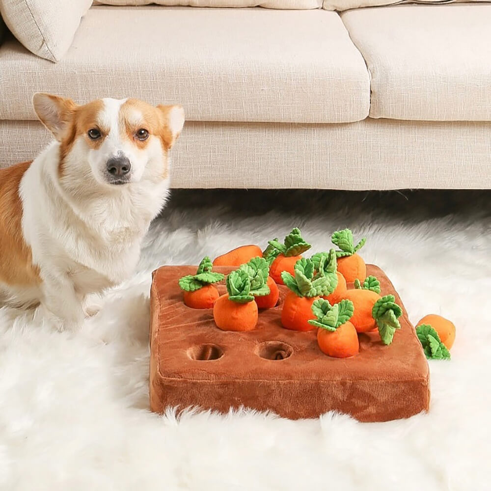 Carrot Patch Dog Snuffle Toy