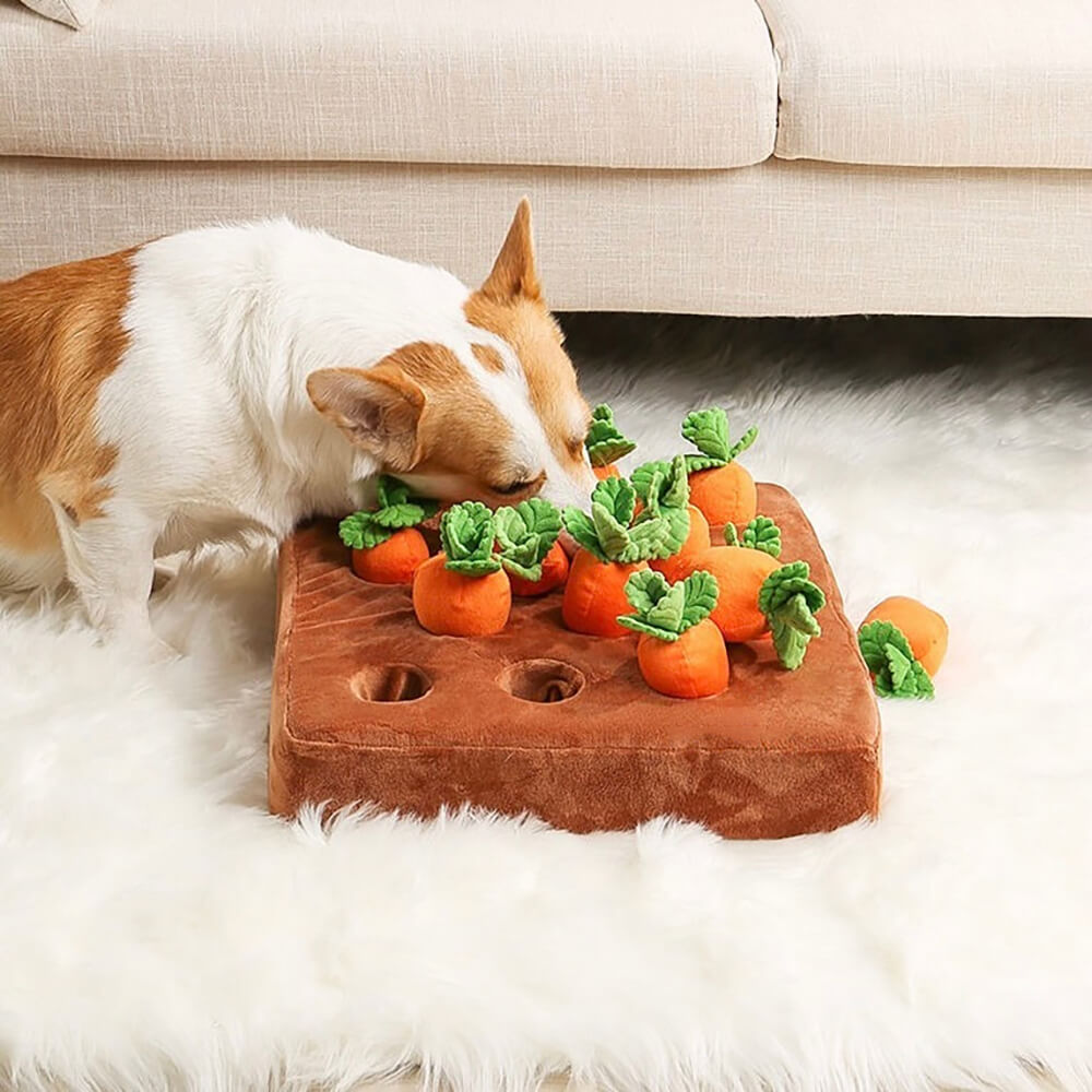 Carrot Patch Dog Snuffle Toy