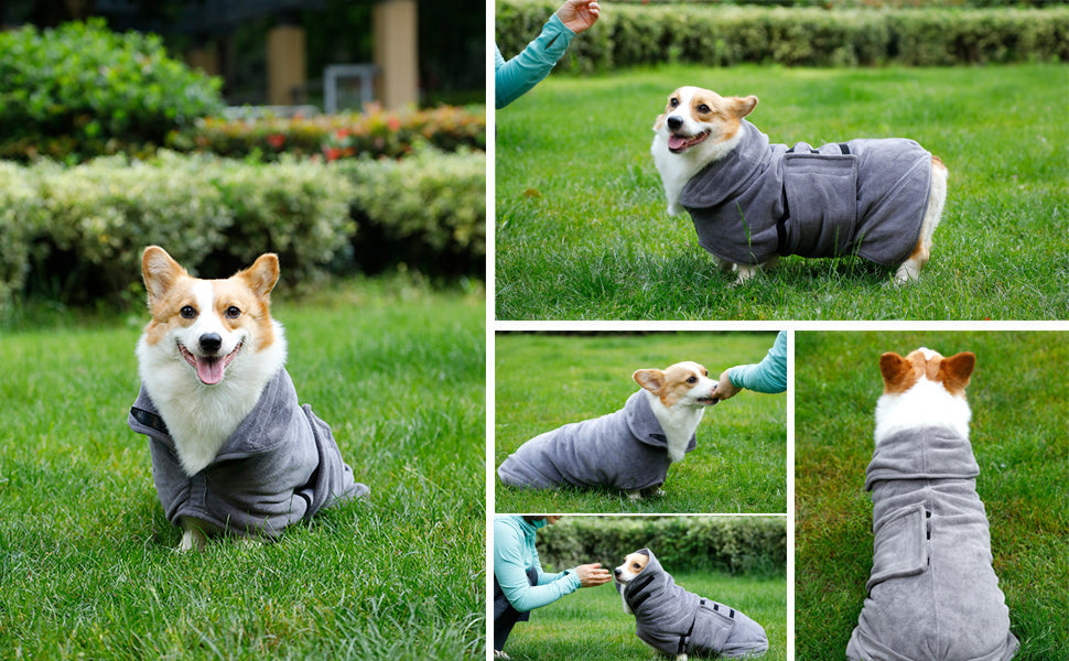 Dog Robe