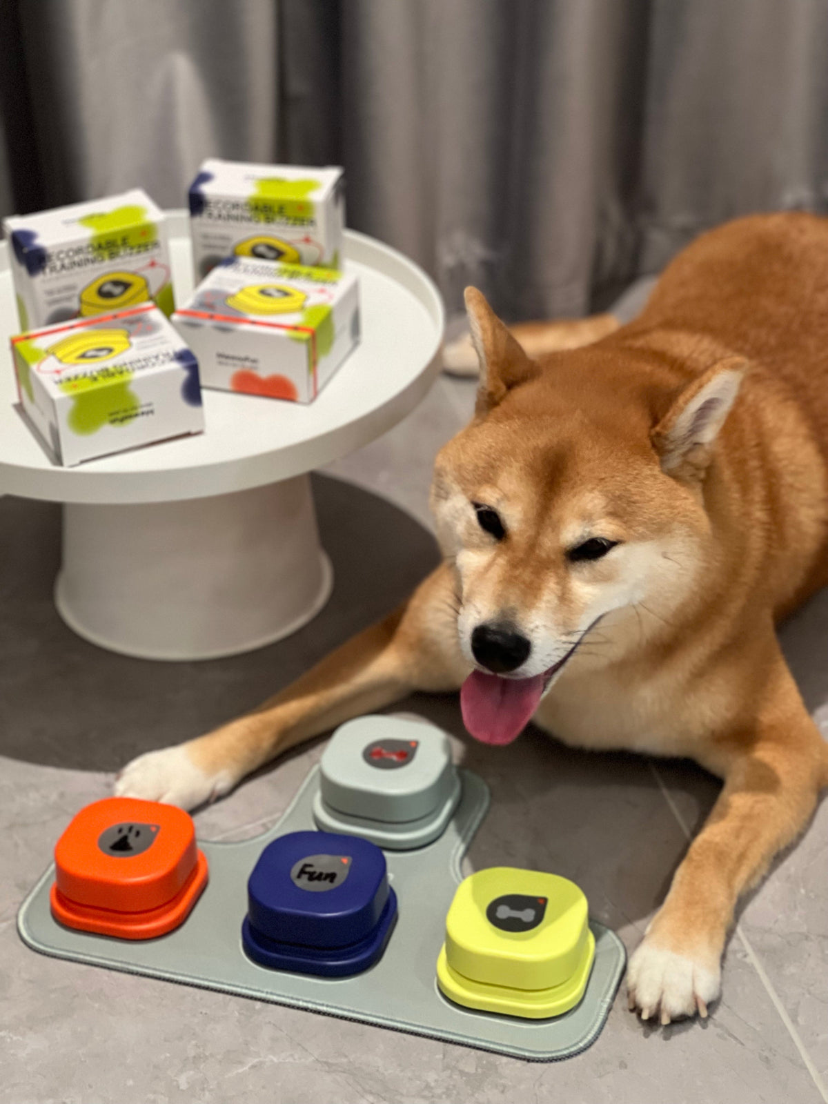 Dog Training Talking Buttons