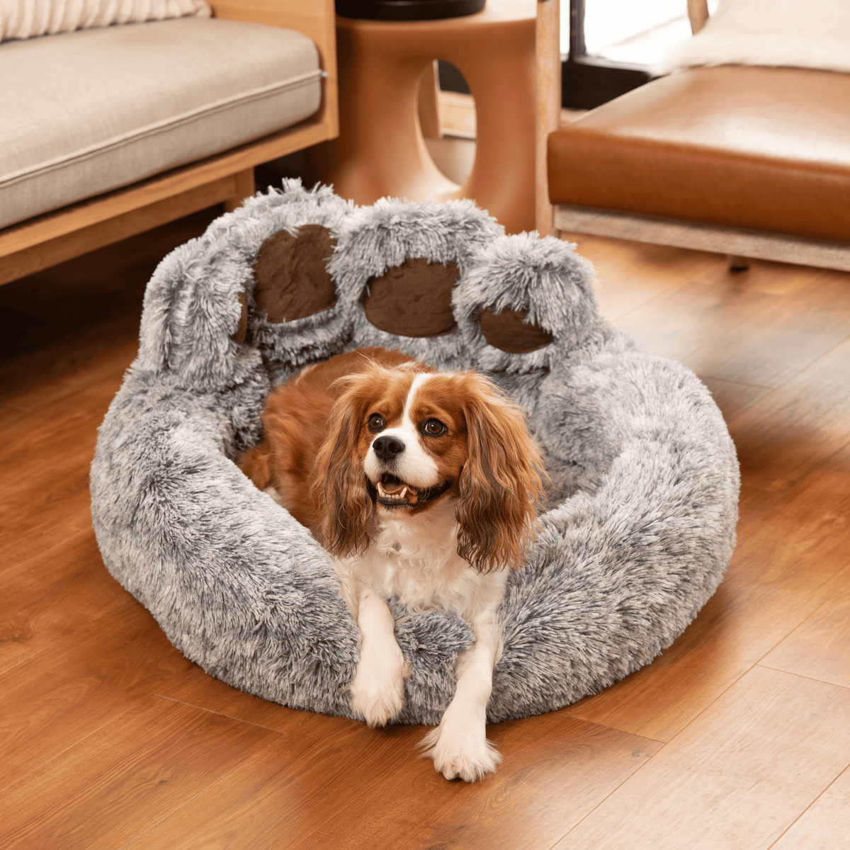 Calming Paw Dog Bed