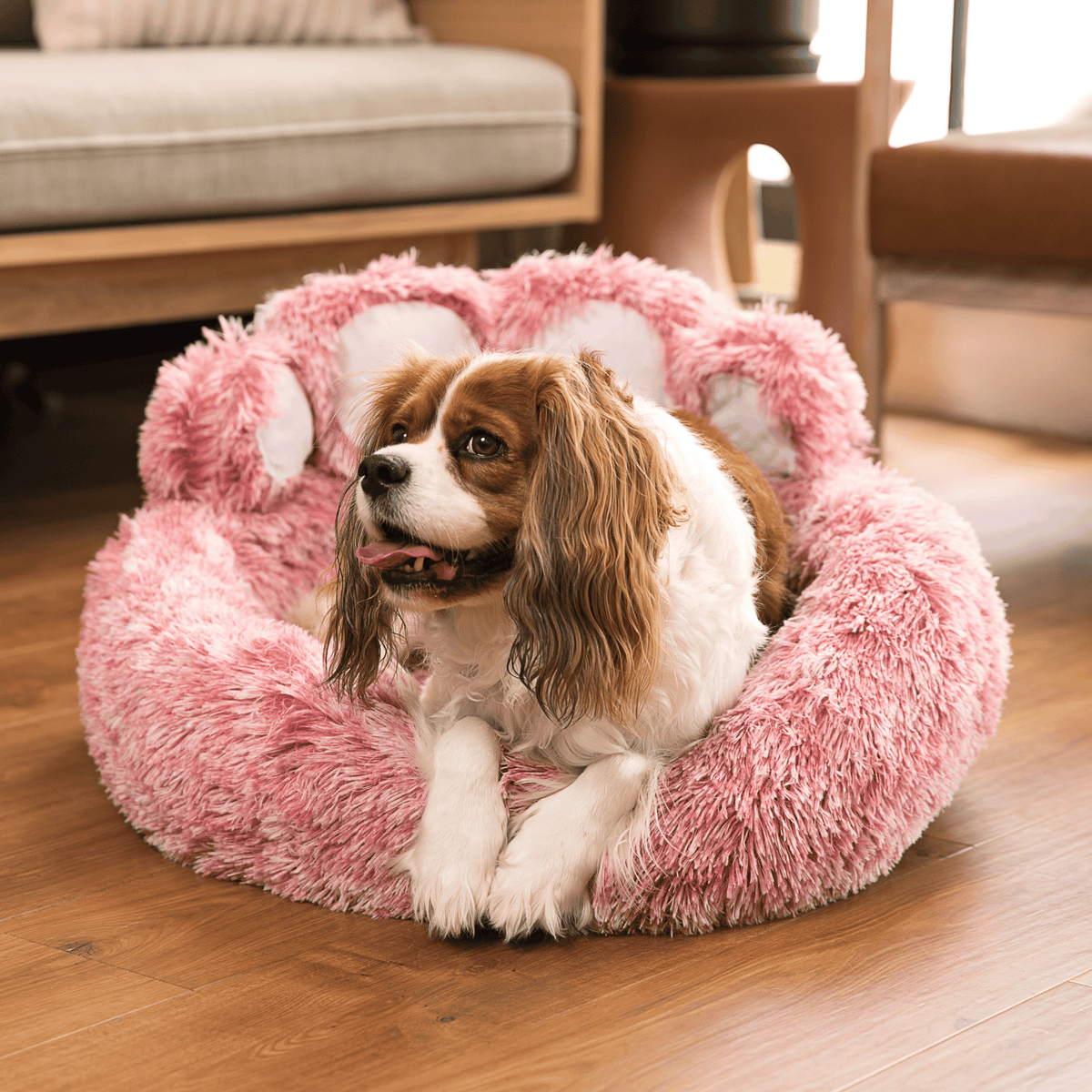 Calming Paw Dog Bed