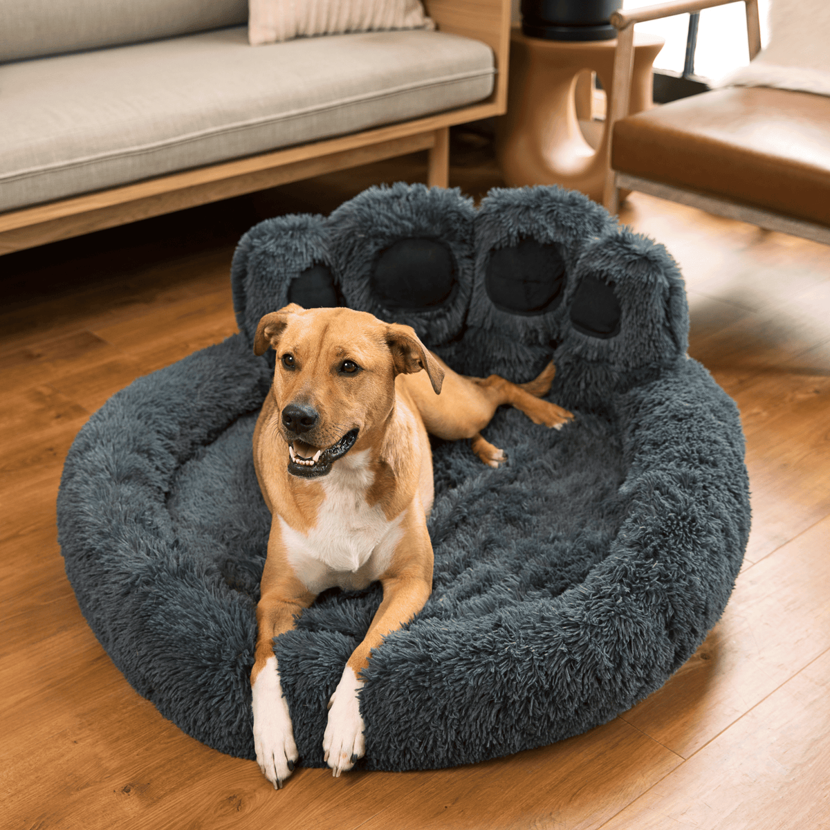 Calming Paw Dog Bed