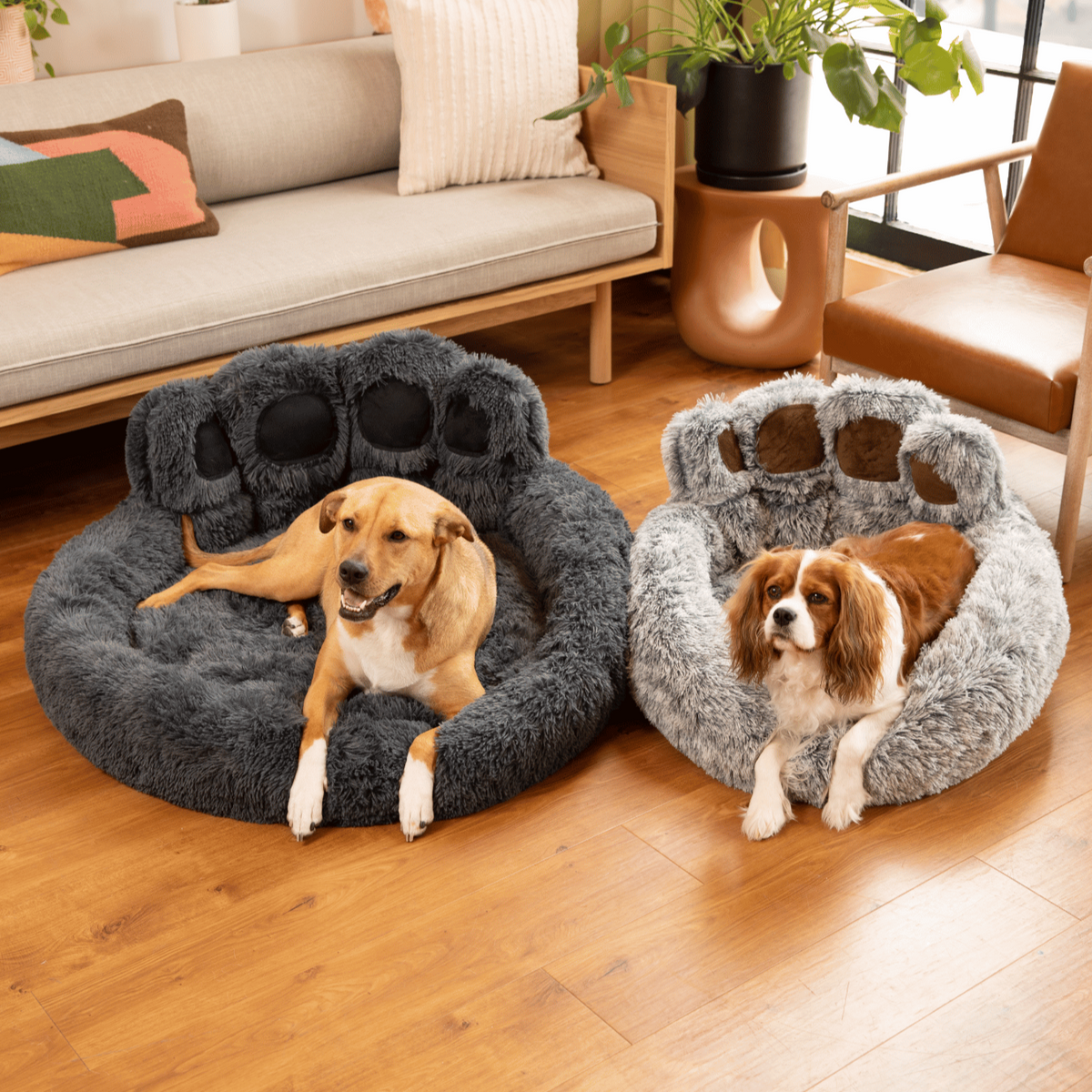 Calming Paw Dog Bed