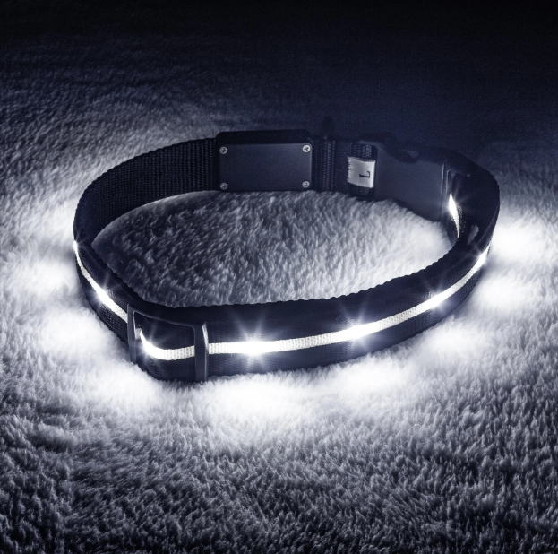 LED Dog Collar