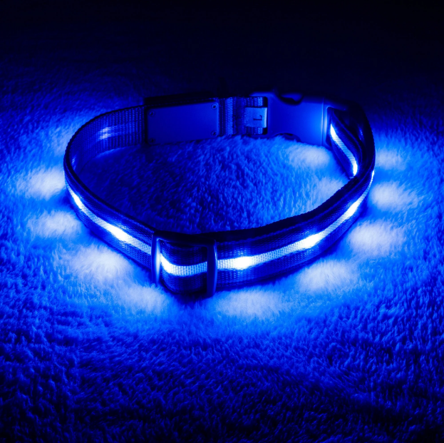 LED Dog Collar