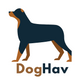 DogHav