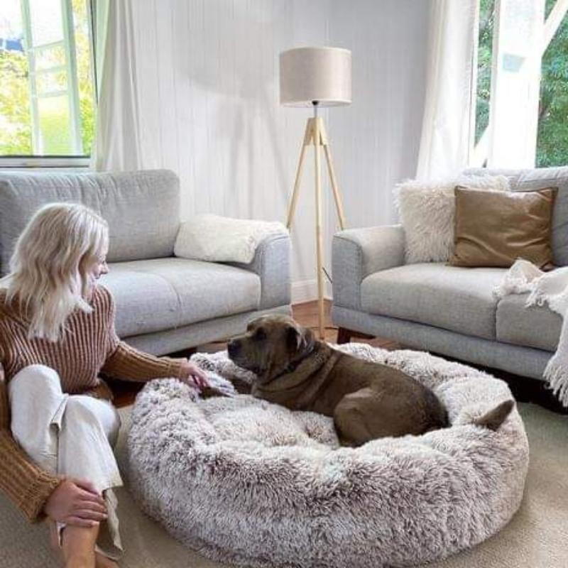 Anxiety Relieving Dog Bed