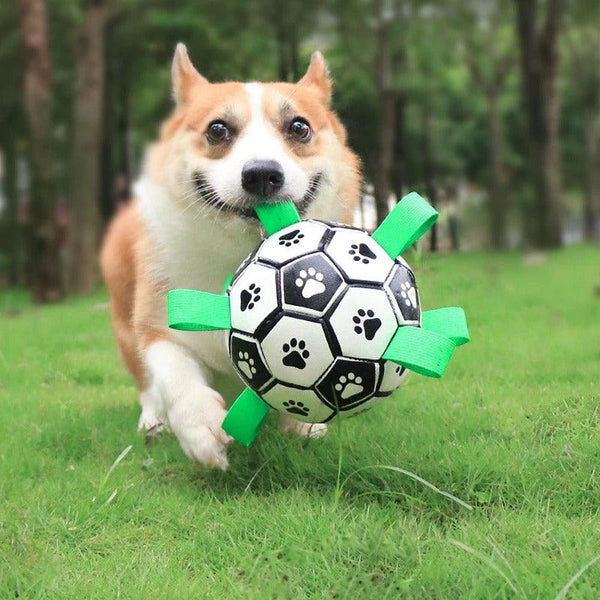 Interactive Soccer Ball