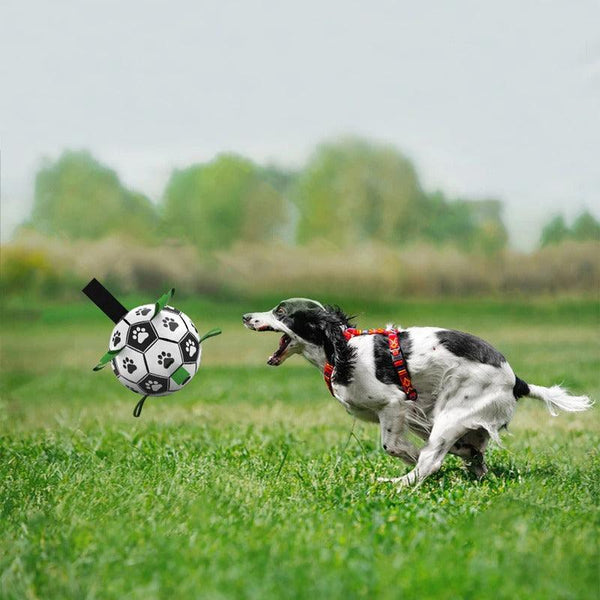 Interactive Soccer Ball