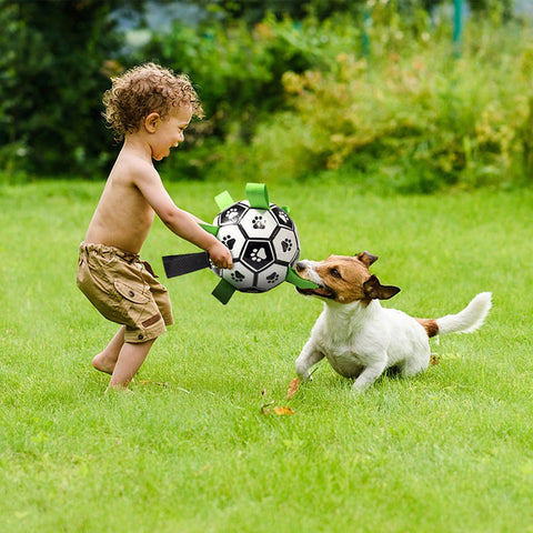 Interactive Soccer Ball