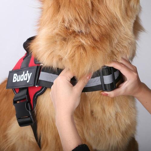 Personalised No Pull Dog Harness