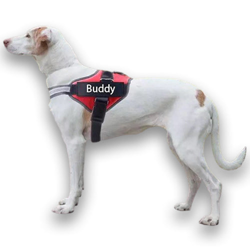 Personalised No Pull Dog Harness