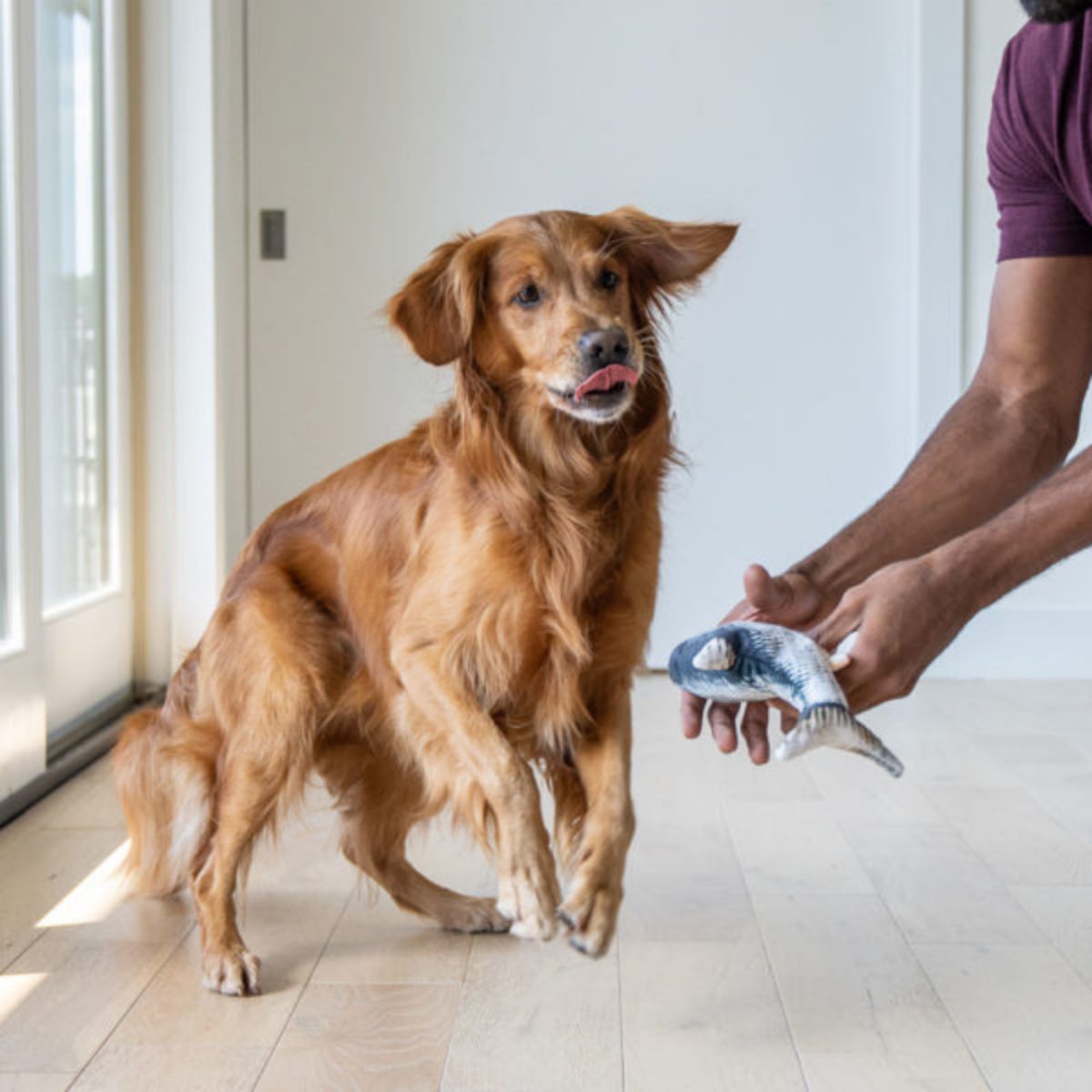 Floppy Fish - Interactive Dog Toy