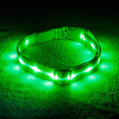 LED Dog Collar