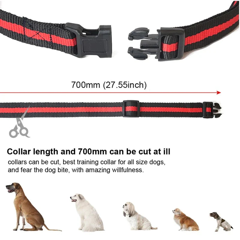 Dog Training Collar