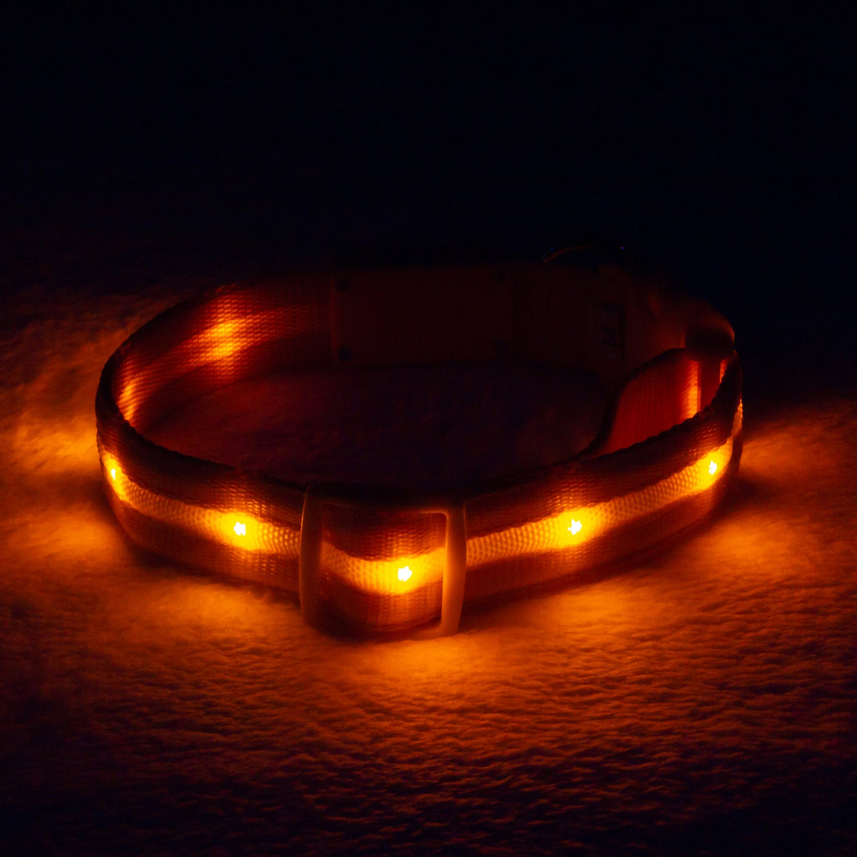 LED Dog Collar