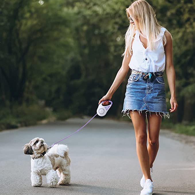 Ultra Bright Led Light Dog Leash